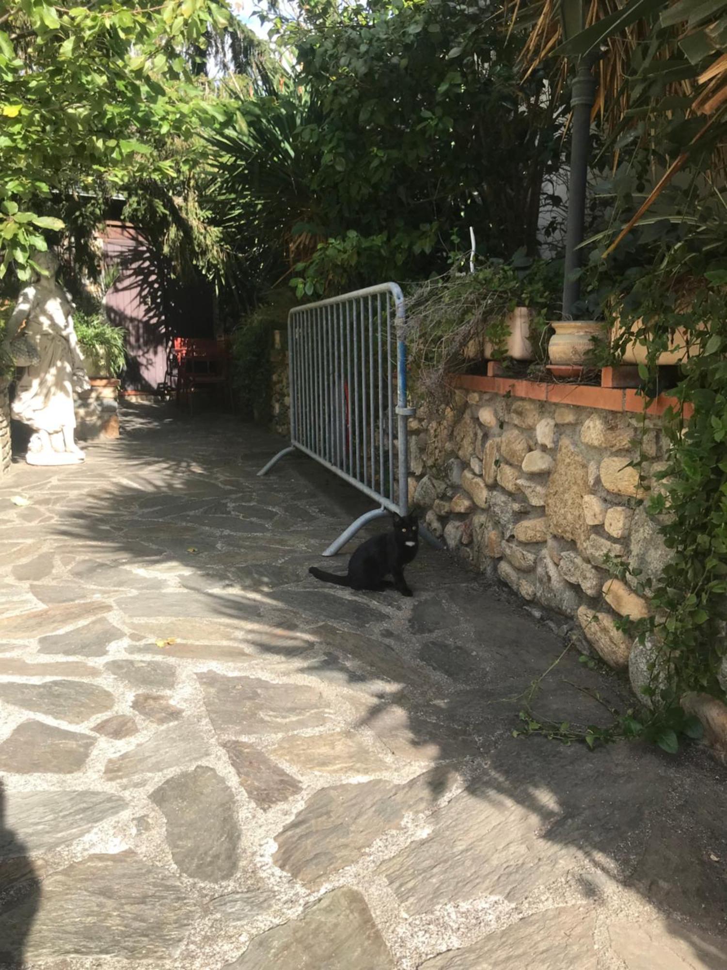 Hebergements A La Rive: Accueil Chaleureux et Paiement Flexible Amelie-les-Bains-Palalda Exterior photo