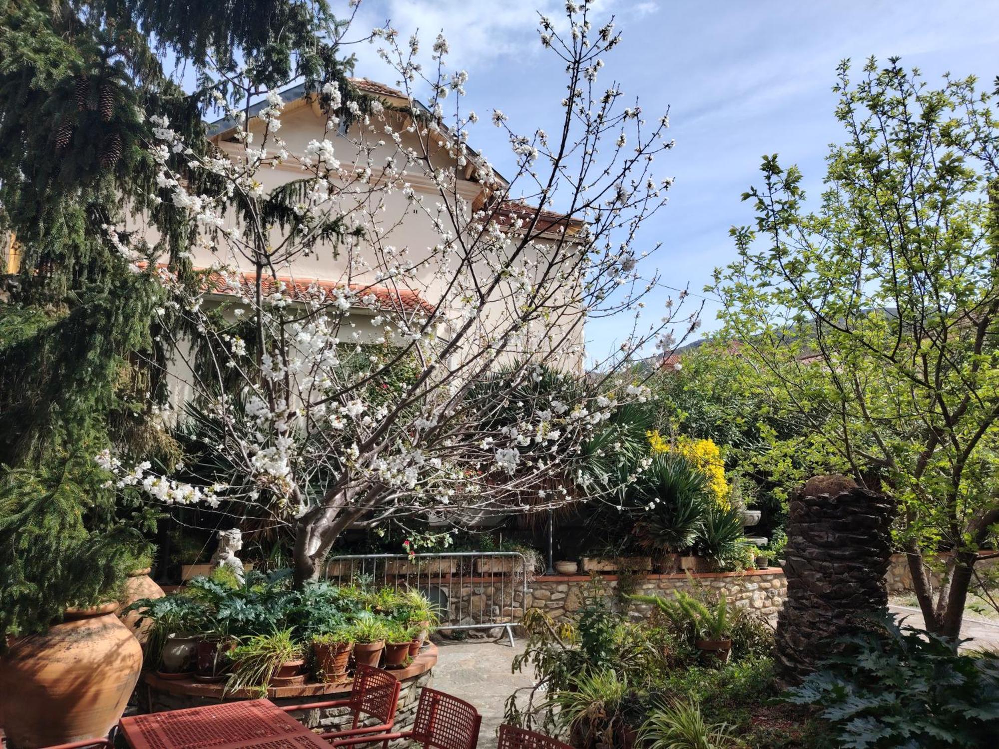 Hebergements A La Rive: Accueil Chaleureux et Paiement Flexible Amelie-les-Bains-Palalda Exterior photo